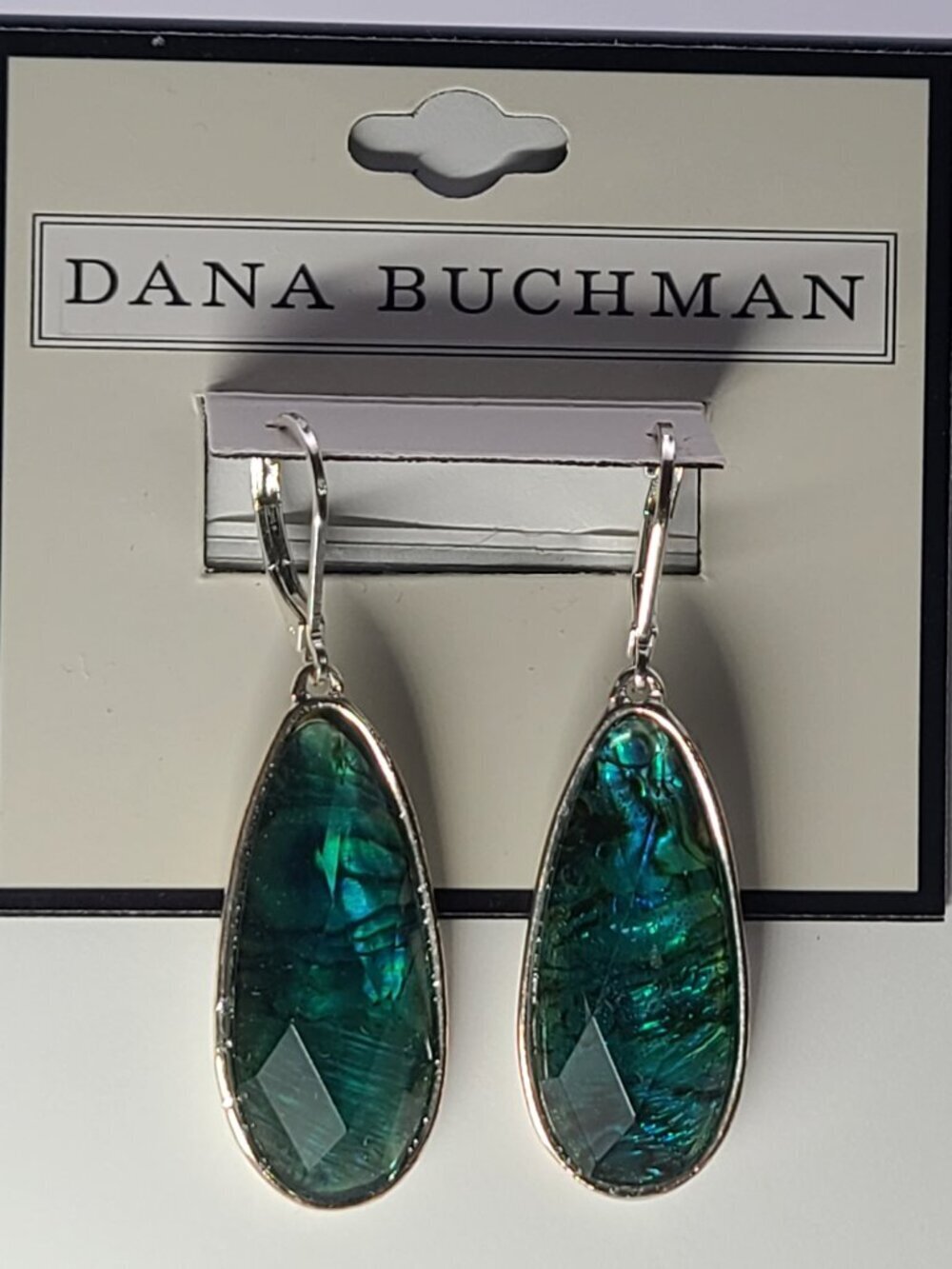 Dana Buchman Earrings Silver Tone Turquoise Leverback Dangle